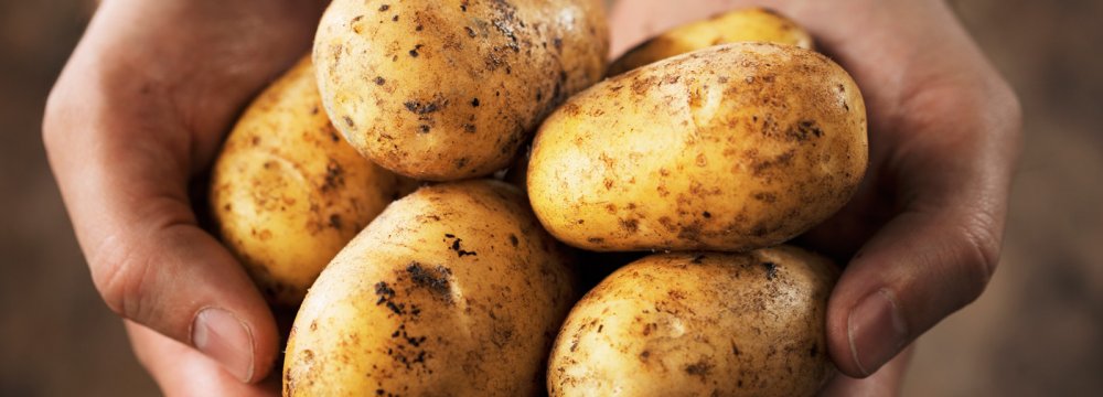 Iran Denies Potato Import Rumor