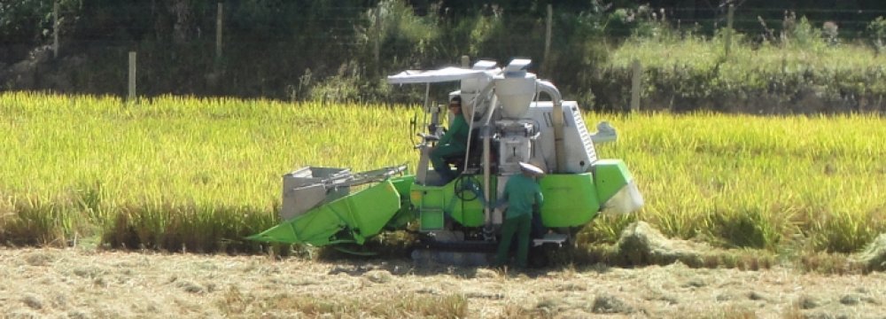 Rice Farming Mechanization Reaches 80%