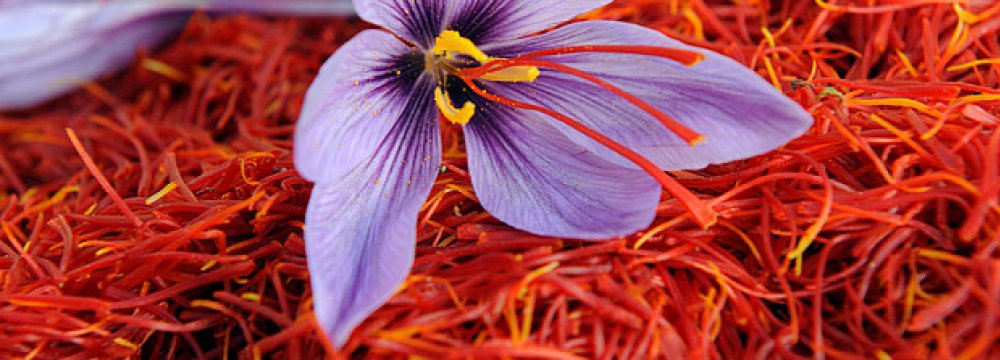 Saffron Exports Earn $92m 