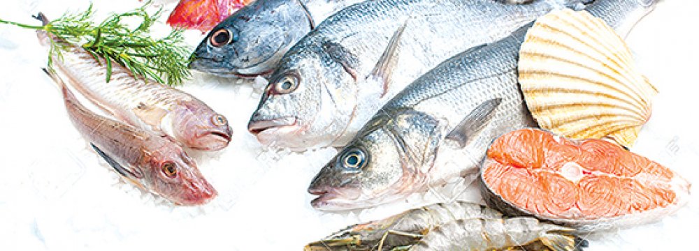 Over 100K Tons of Seafood Exported Last Year
