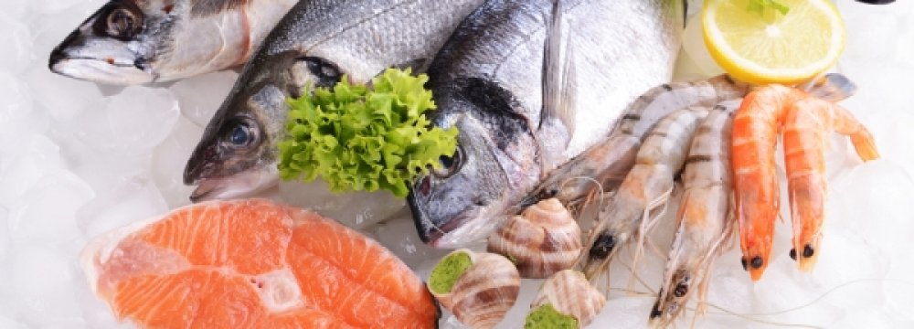 Seafood Exports Rise 37 Percent
