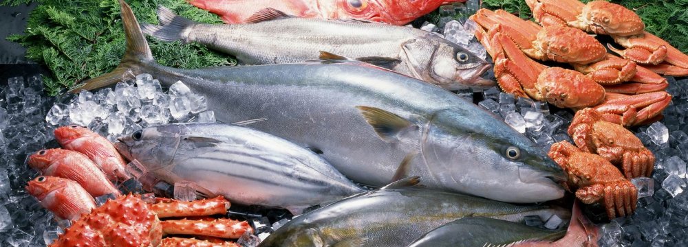 Seafood Exports Exceed $120m