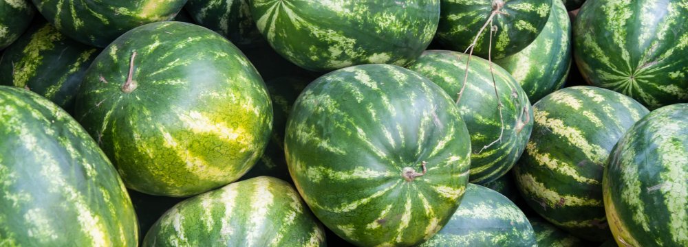 Watermelon Exports Exceed $97 Million