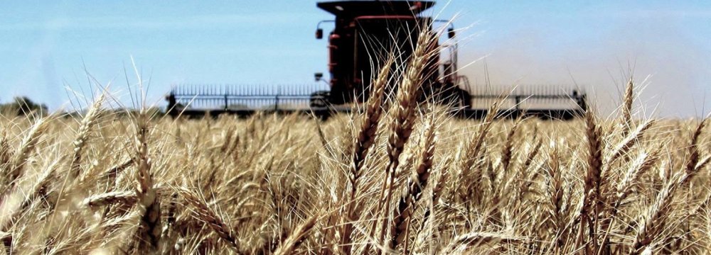 A record high of 14 million tons of wheat were domestically produced last year.