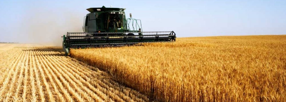 Iran became self-sufficient in wheat production last year.