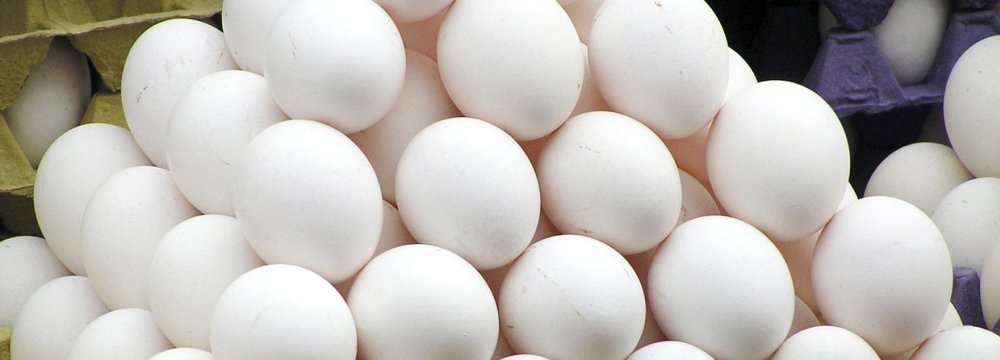 Egg Exports at 41K Tons Last Year