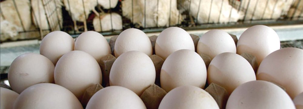 Egg Exports at Over 18K Tons in H1