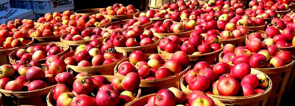 India Restricts Apple Imports; Iran May Be Hit: Newspaper