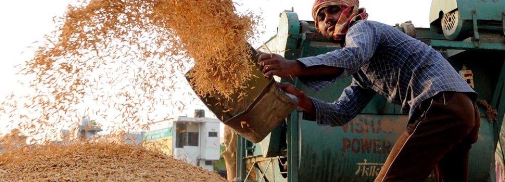 Indian Rice Exporters Require LC From Iran