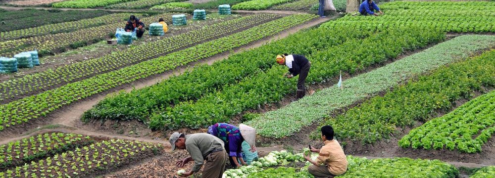 Economy Ministry Proposes Abolition of Agricultural Tax Exemption