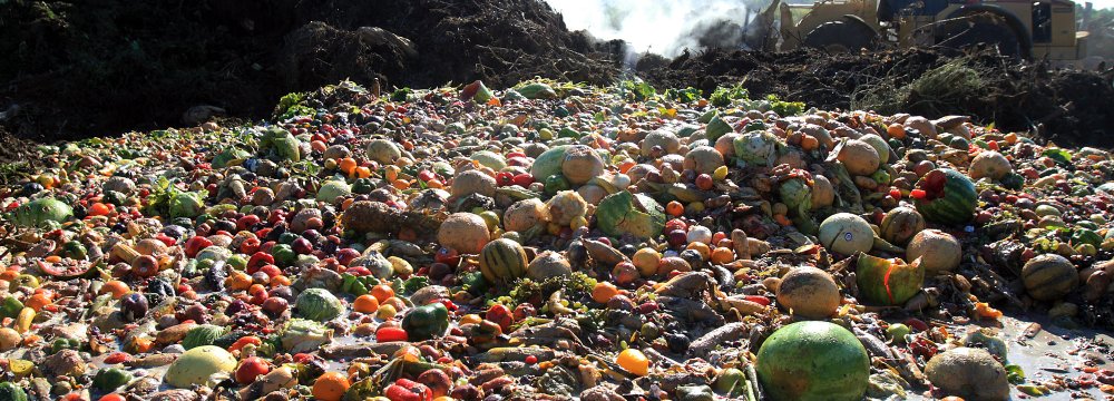 30% of Agro Production Go to Waste: Official