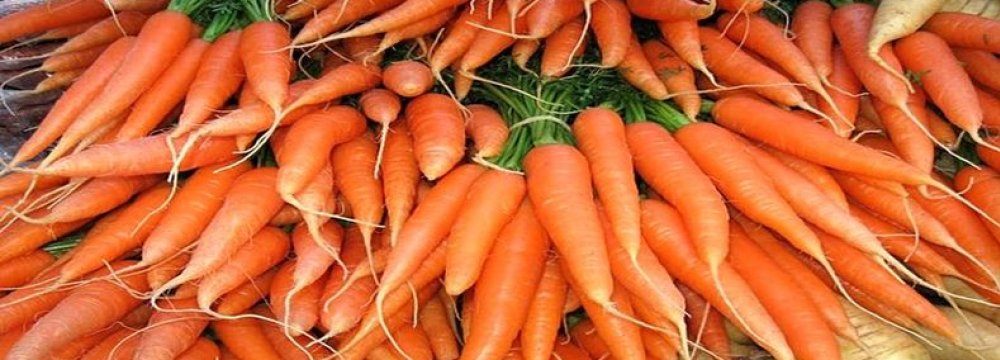 Threefold Surge in Carrot Consumption Due to Covid-19