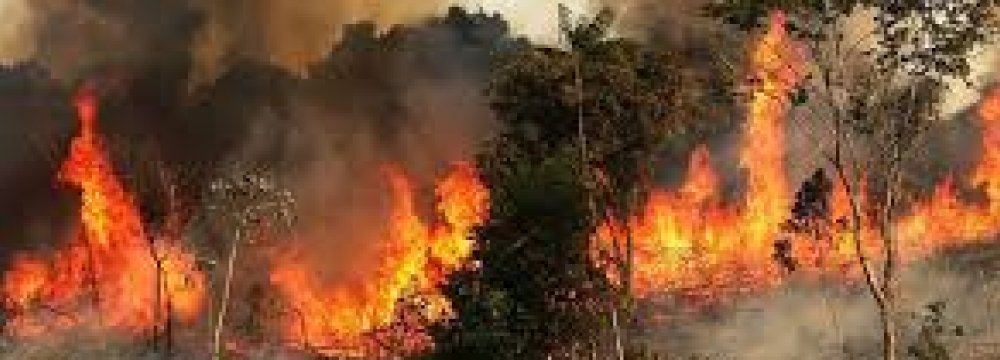 $880K Allocated to Fighting Wildfires 