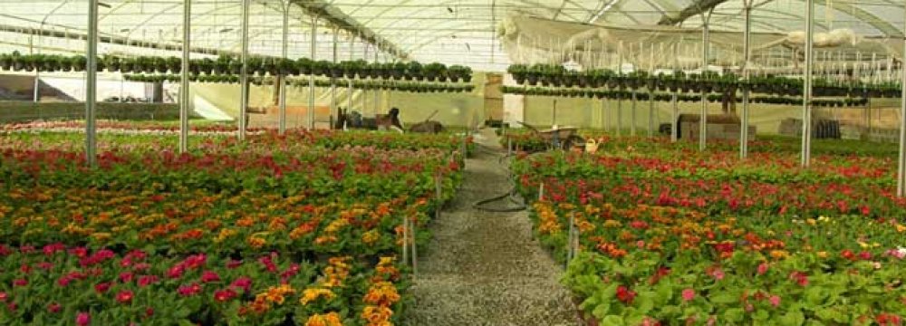 COVID-19 Inflicts Losses on Plant, Flower Producers 