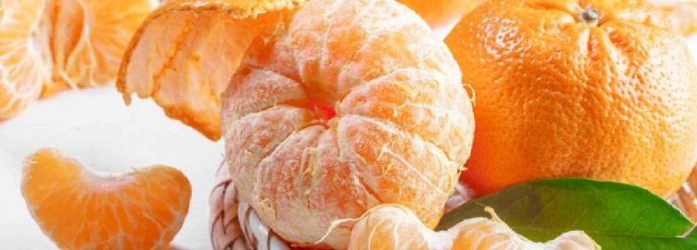 Miandoroud Tangerine Exports Surpass 2.5K Tons 