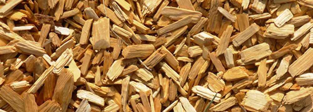 Norway to Make Biofuel From Wood Chips 
