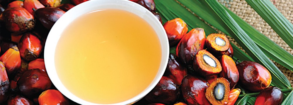 Rise in Palm  Oil Imports 