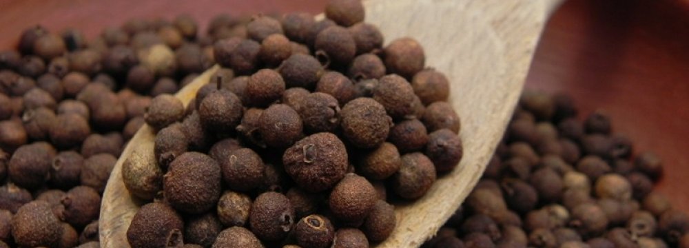 Iran&#039;s Allspice Exports Earn $6m in 5 Months