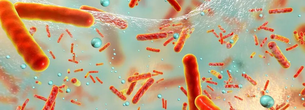 Micromachines Destroy Bacterial Biofilms in Obscure Places