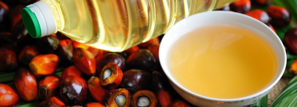 50% Rise in Palm Oil Imports 
