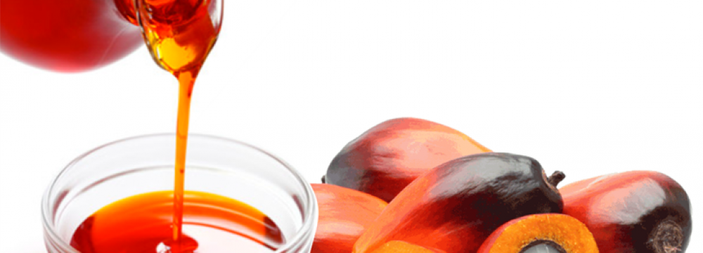 Iran Palm Oil Market to Top $600m by 2025