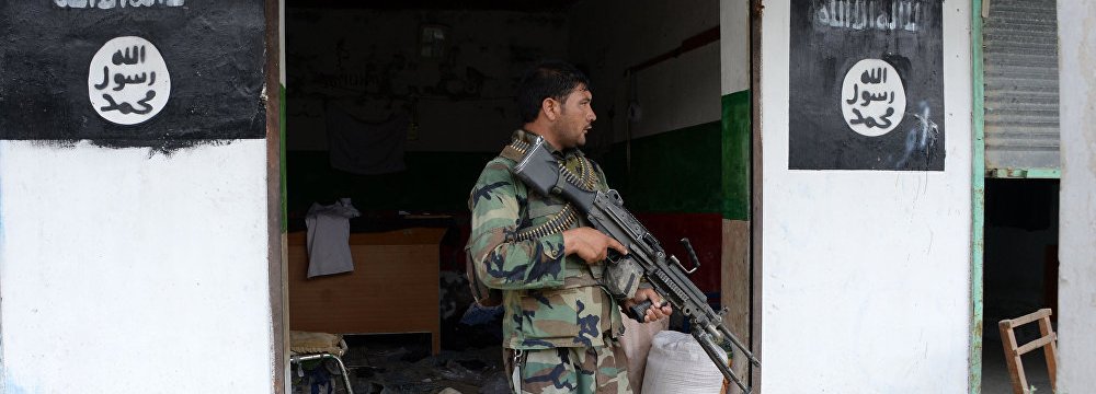 Afghan Forces Kill Taliban Commanders, IS Terrorists