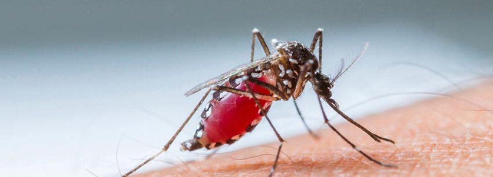 Dengue Fever in Sri Lanka