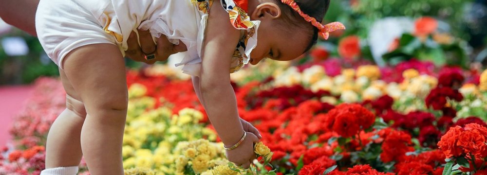 9 Nations at Mashhad Flower Show