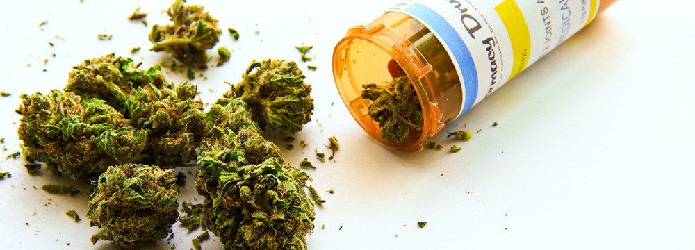 Germany Legalizes Medical Cannabis 