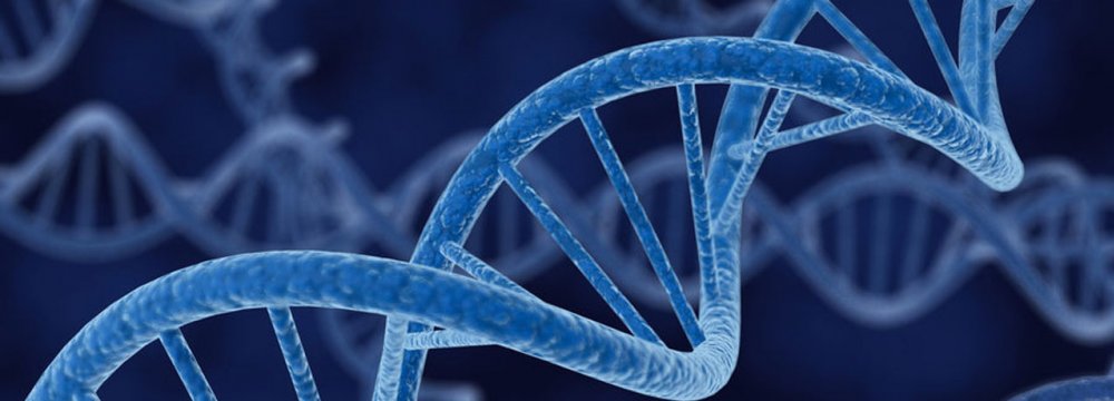 Researchers find a drop in some harmful genetic mutations in longer-lived people.