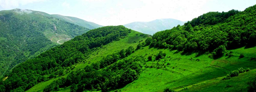 One of the distinctive features of Arasbaran Forest is its plant diversity.