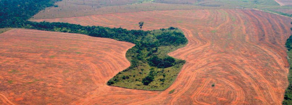 After several years of decline, deforestation in the Amazon appears to be increasing again.