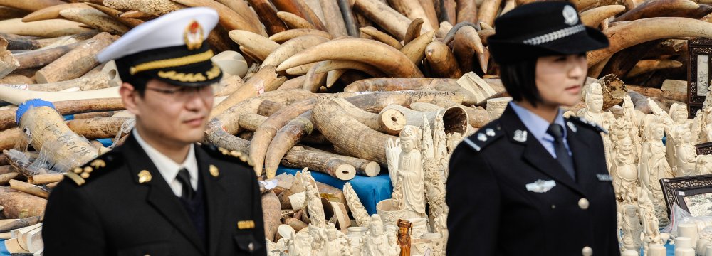 No More Ivory Trade in China