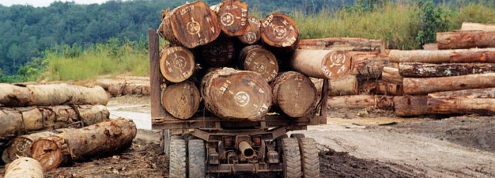 Deforestation-Economic Growth Link Confirmed 
