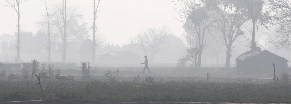 Crop stubble burning caused one-quarter of the air pollution that blanketed Delhi in November.