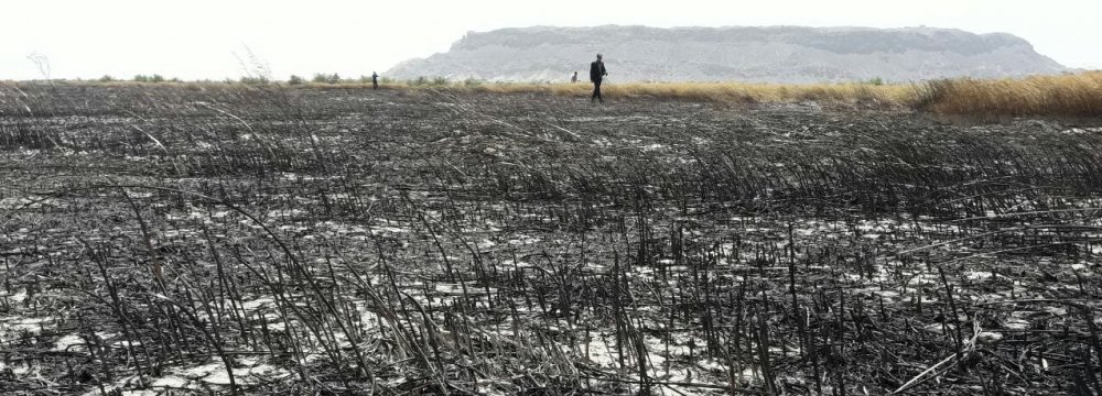 Wildfire Put Out in Hamoun