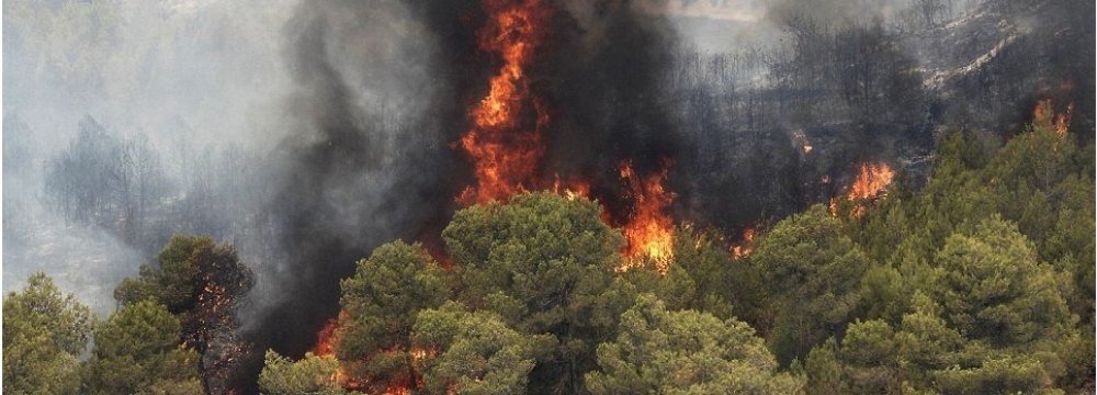 Wildfires Increase by 20%