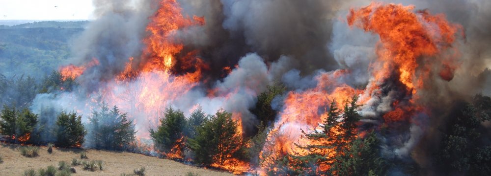 25 Hectares Burn in Gachsaran Wildfire