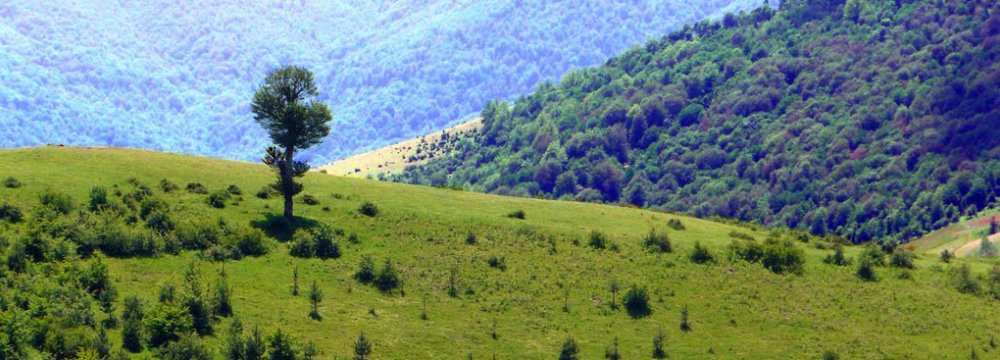 Thanks to high rainfall, Gilan is one of Iran's greenest provinces,