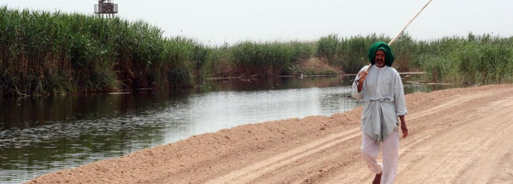 Electrofishing Threatens Hour al-Azim Wetland Biodiversity