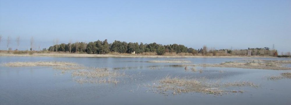 Lapou Wetland Reportedly Dried Up