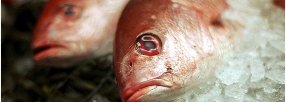  The extra mercury could reverberate up the food web to fish that humans eat.