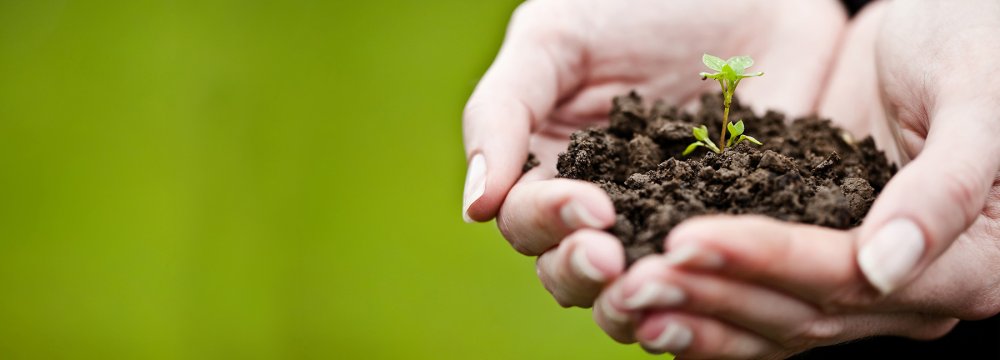 Some 16 million tons of soil are subject to erosion yearly.