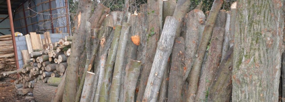 2 Tons of Illegally-Logged Timber Seized