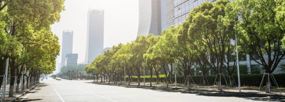 Trees Offer Services Worth $500m to Megacities