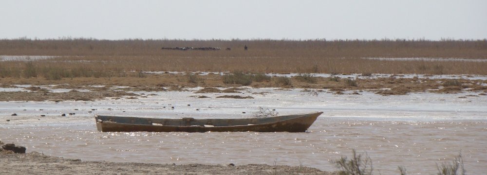 The bill aims to protect Iran's wetlands from pollution and irreparable damage. 