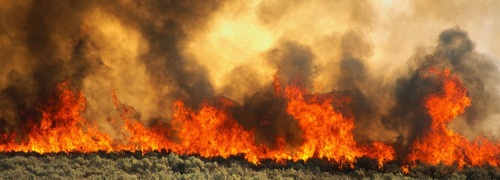 Forest Fires Declining