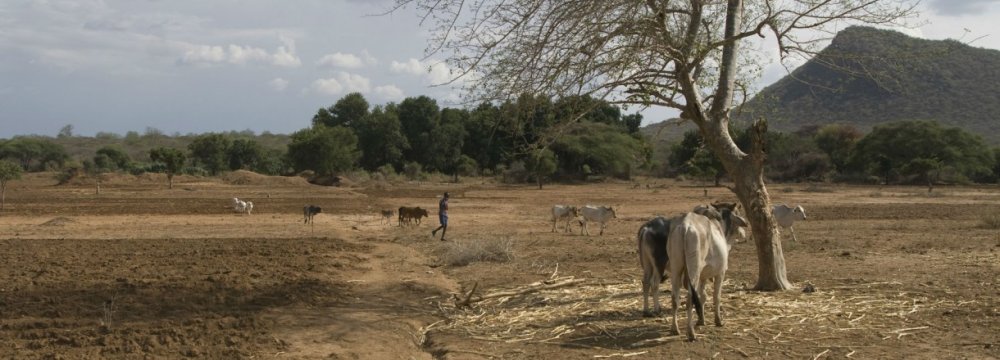 A project to help Ethiopian farmers adapt to drought and climate change was rejected for funding from the Green Climate Fund.