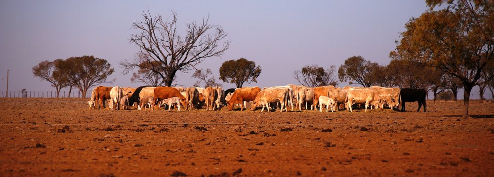 More Aid for Australia’s Drought-Hit Farmers