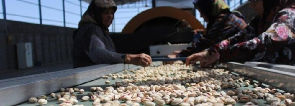 Pistachio Exports Top 35K Tons in 4 Months